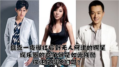 我绝对是大明星： 我的光芒照耀整个娱乐圈，无人可比。