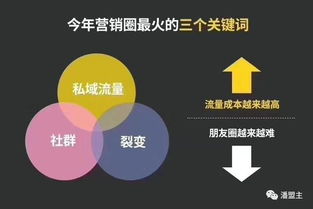 (如何搭建社群体系)探索'像联盟'的独特魅力：如何构建更紧密的社群连接与合作